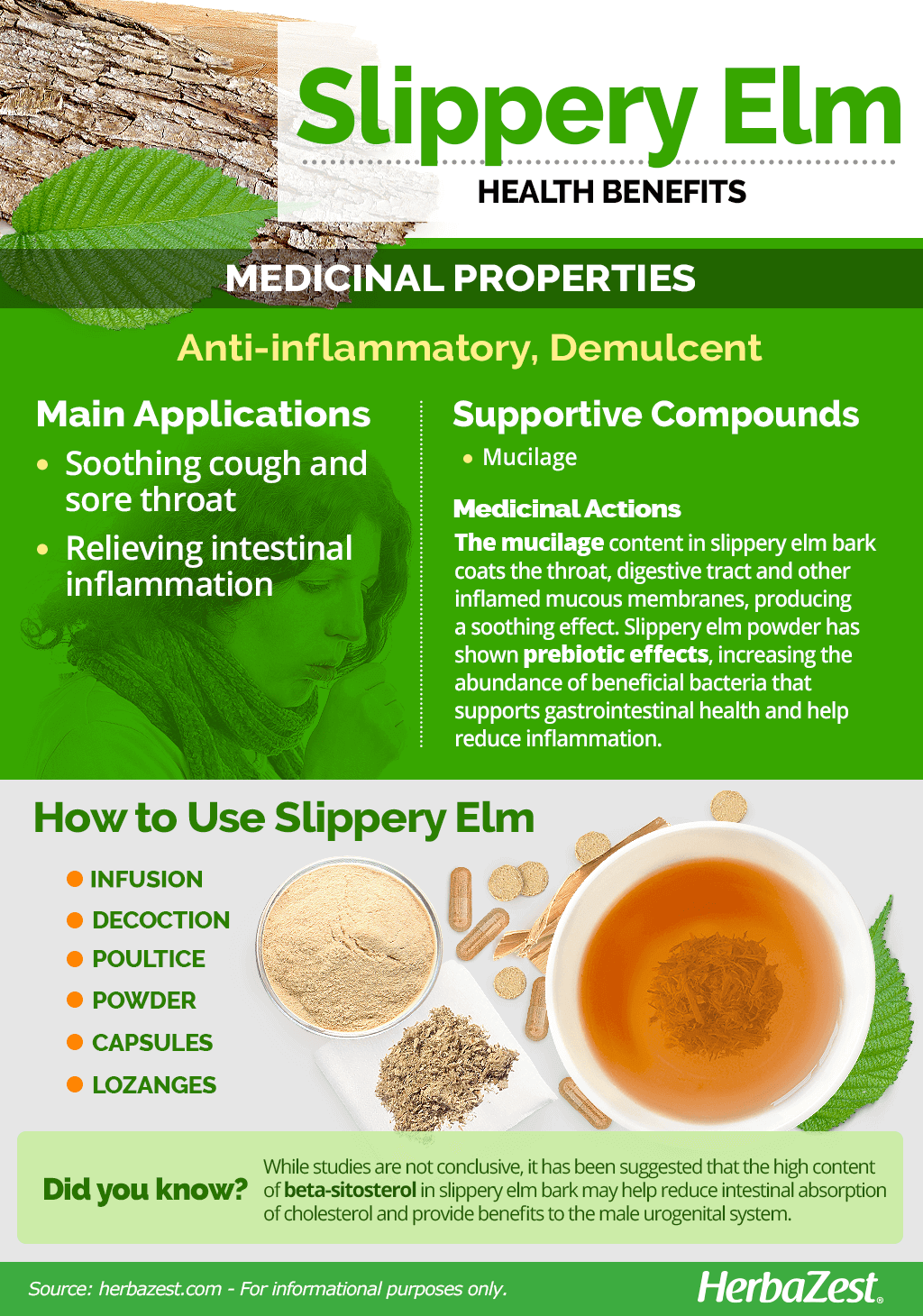 All About Slippery Elm