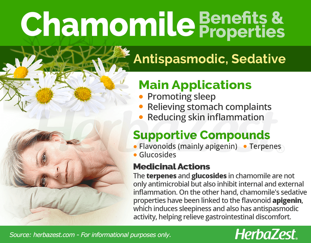 Chamomile Benefits and Properties