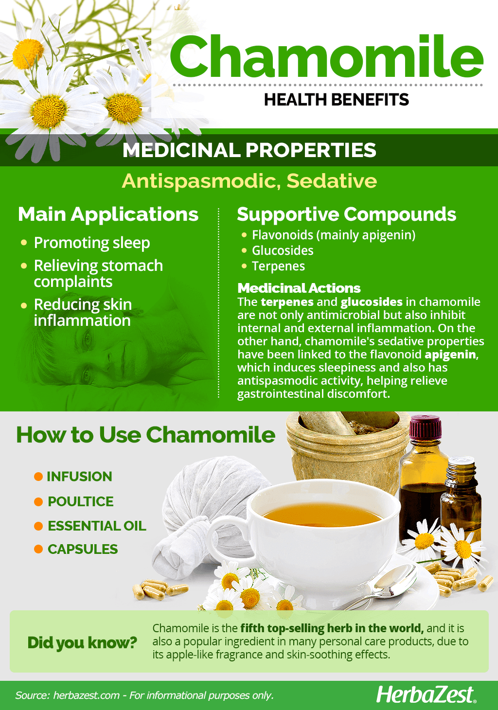All About Chamomile