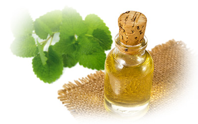 Lemon Balm Oil