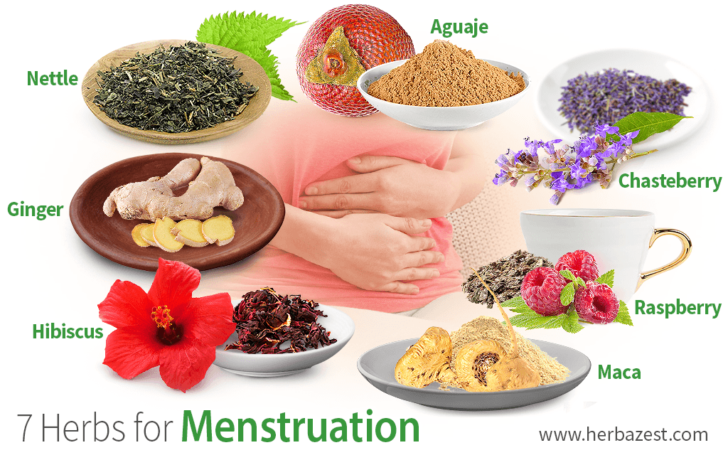 7 Herbs for Menstruation