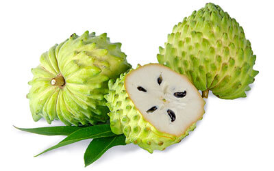 Soursop