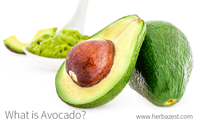 What is Avocado?