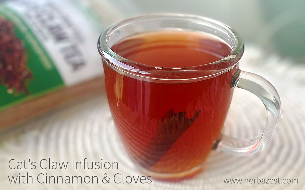 Cat's Claw Infusion with Cinnamon & Cloves
