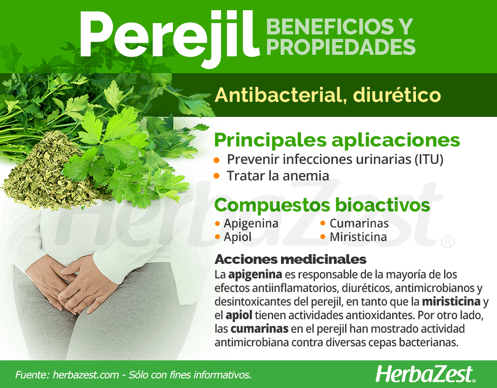 Beneficios y propiedades del perejil