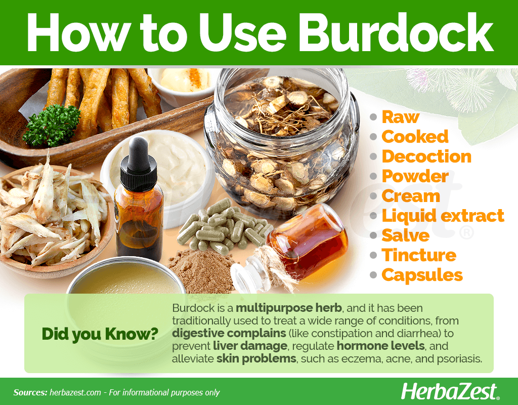 How to Consume Burdock