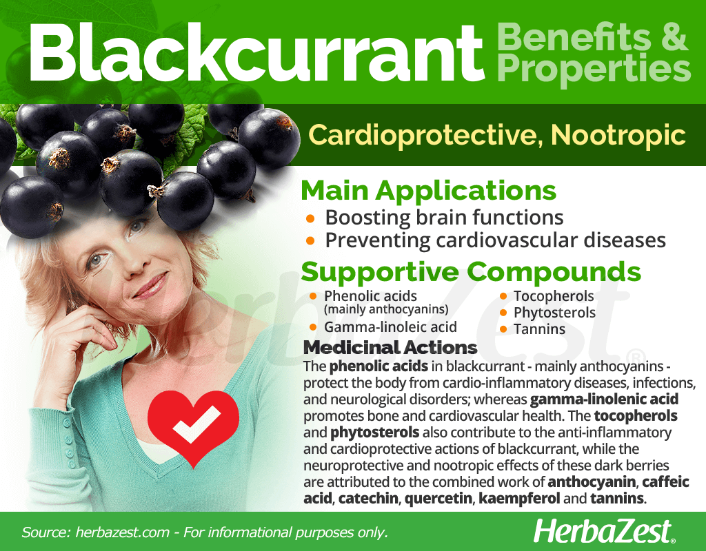 Blackcurrant Benefits and Properties