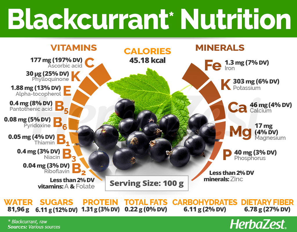 Blackcurrant Nutrition Facts