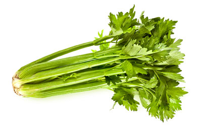 Celery