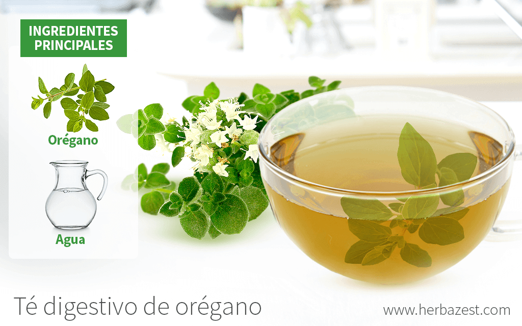 Té digestivo de orégano HerbaZest
