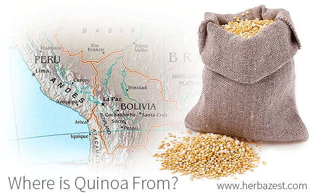 Where is Quinoa From?