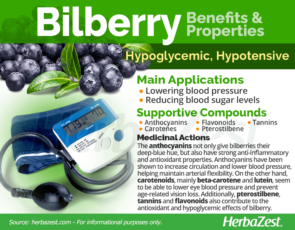 Bilberry Benefits and Properties