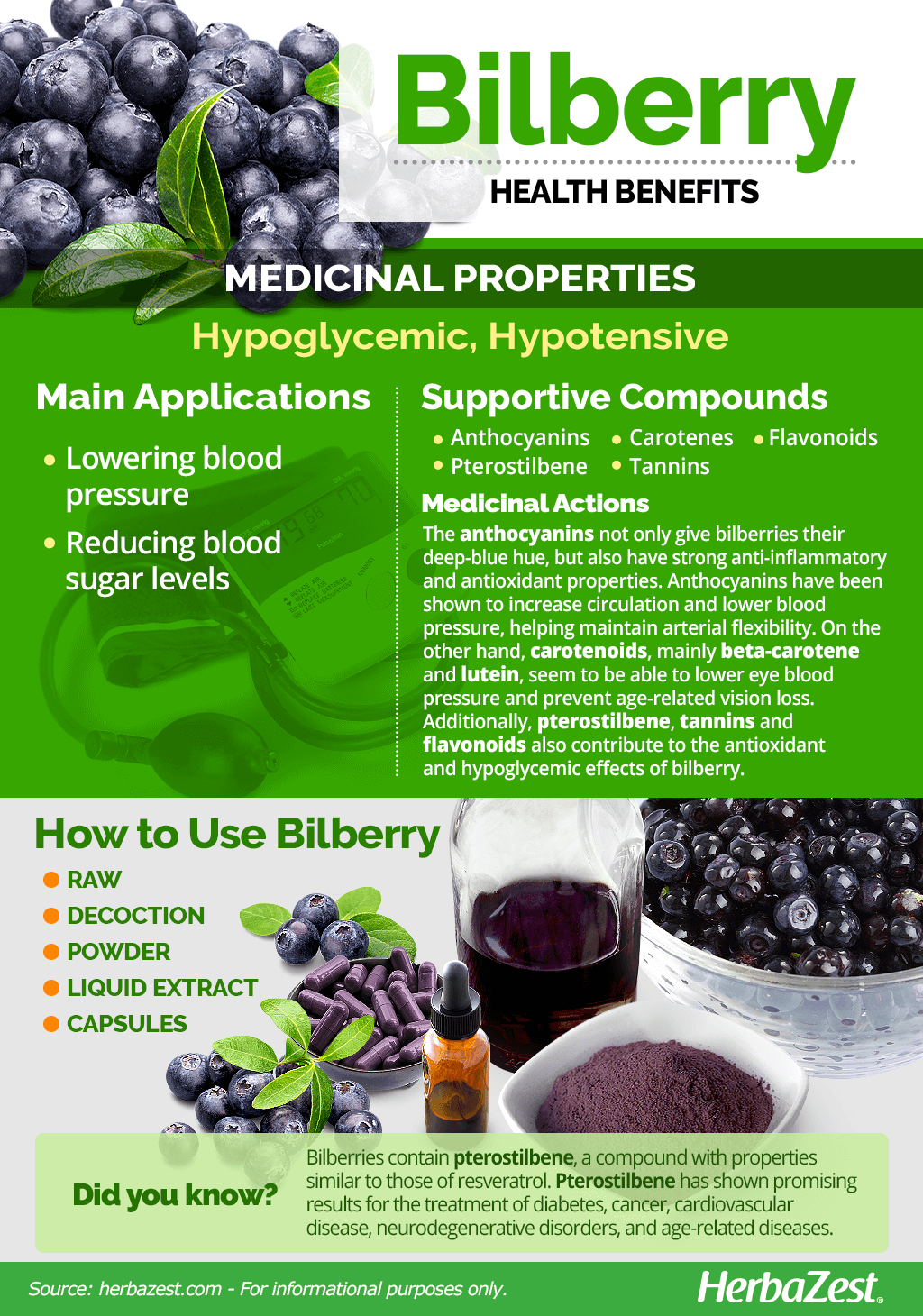 All About Bilberry