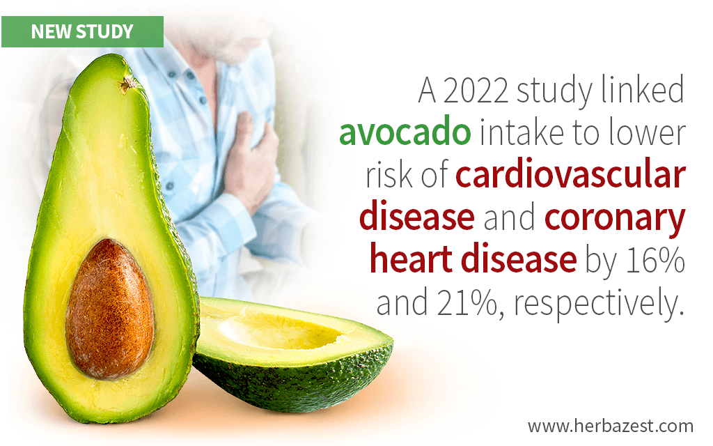 Two Servings of Avocado a Week Can Reduce Heart Disease Risk