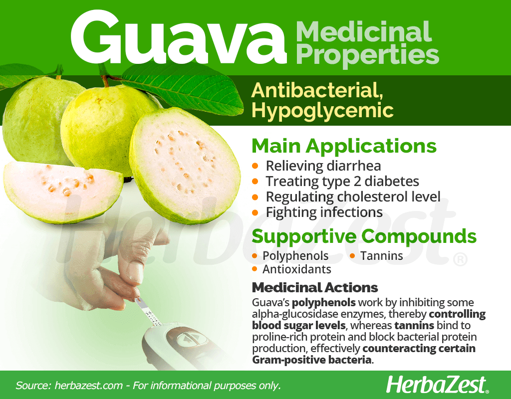 Guava Medicinal Properties