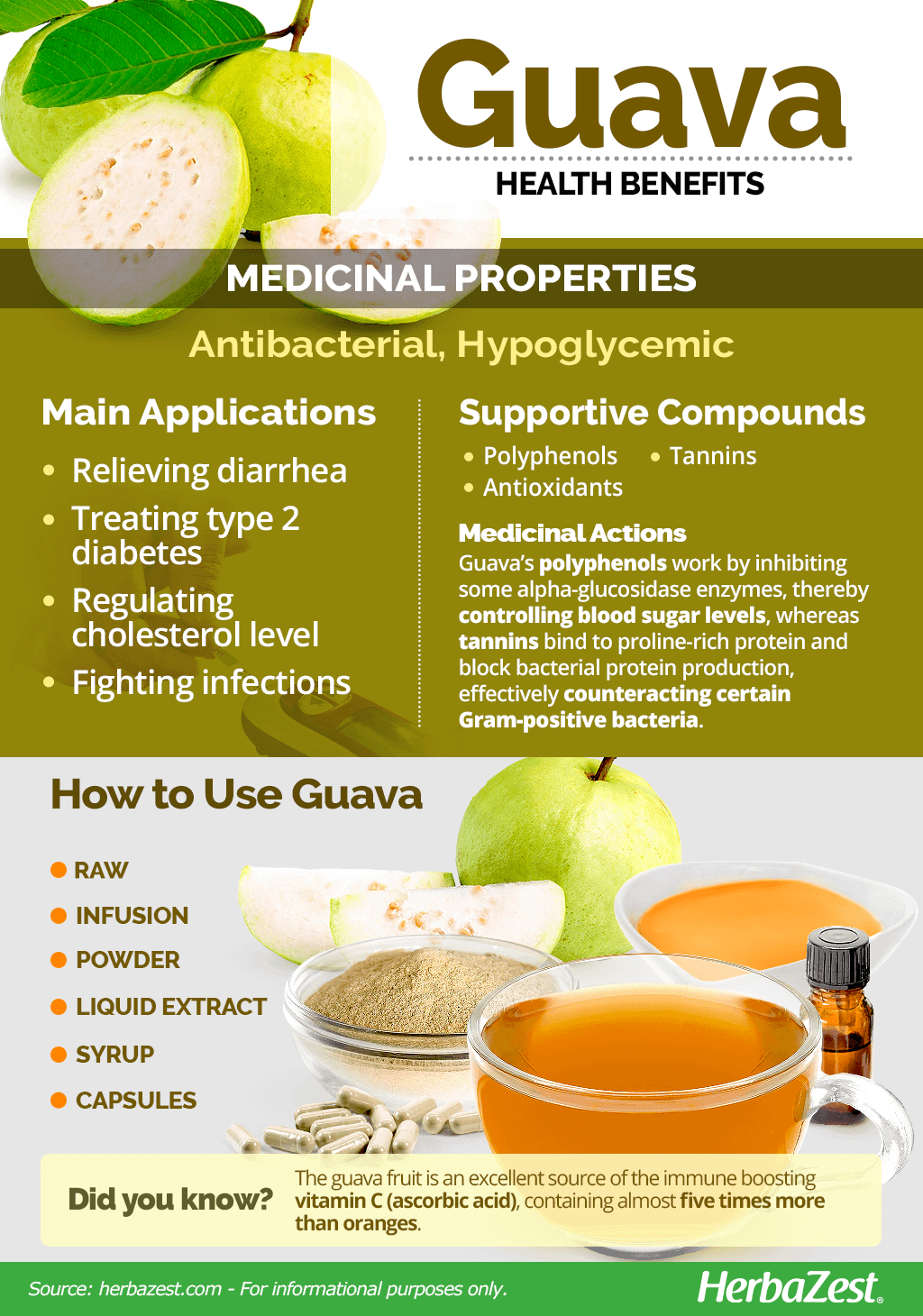 All About Guava