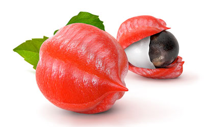 Guarana