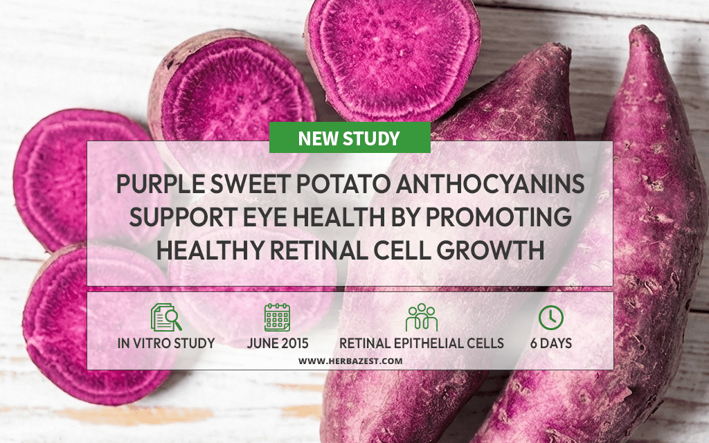 Purple Sweet Potato May Promote Eye Health