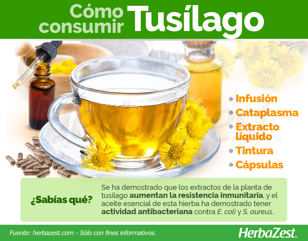 Cómo consumir tusílago