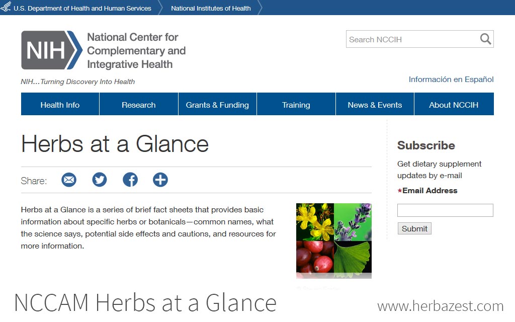 NCCAM Herbs at a Glance