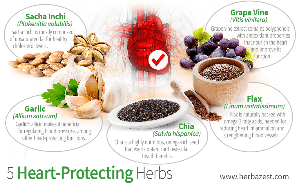 5 Heart-Protecting Herbs