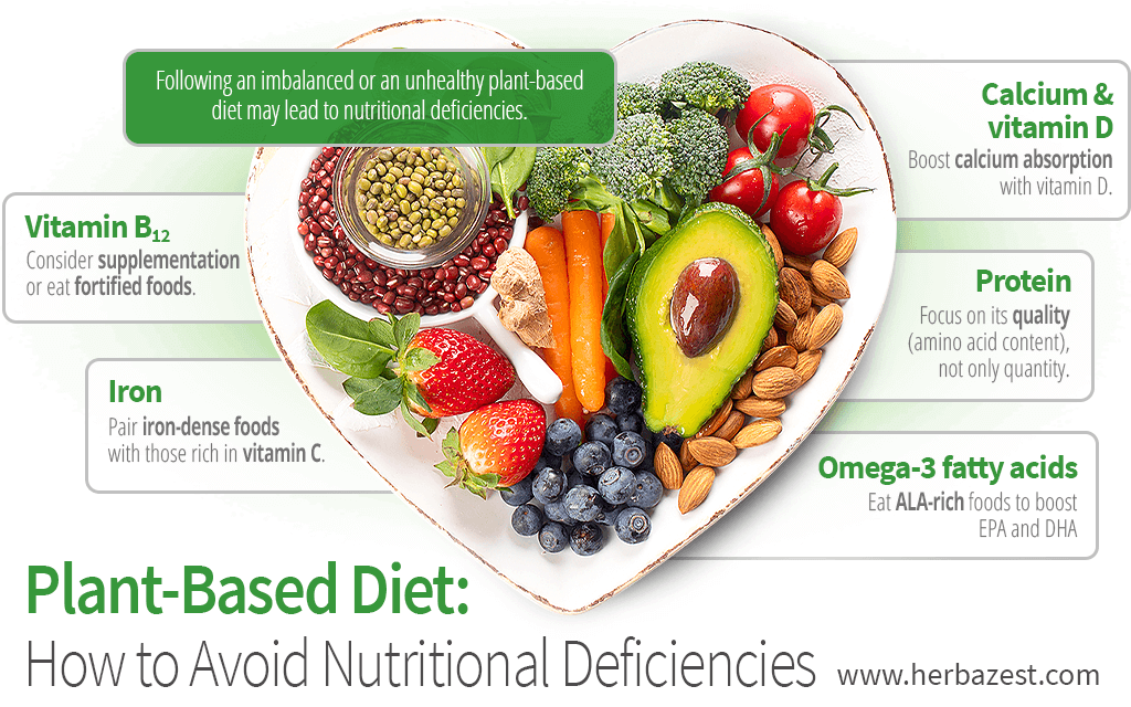 Plant-Based Diet: Common Nutritional Deficiencies & How to Avoid Them