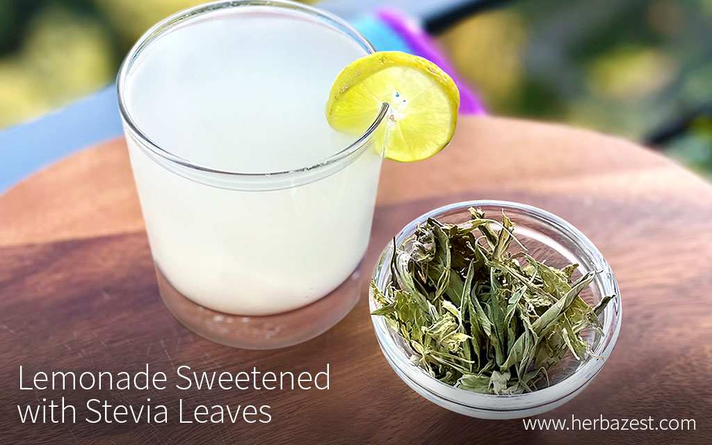 Lemonade Sweetened with Stevia Leaves