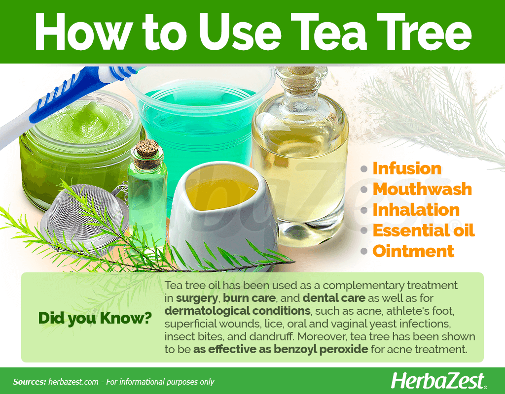 How to Use Tea Tree