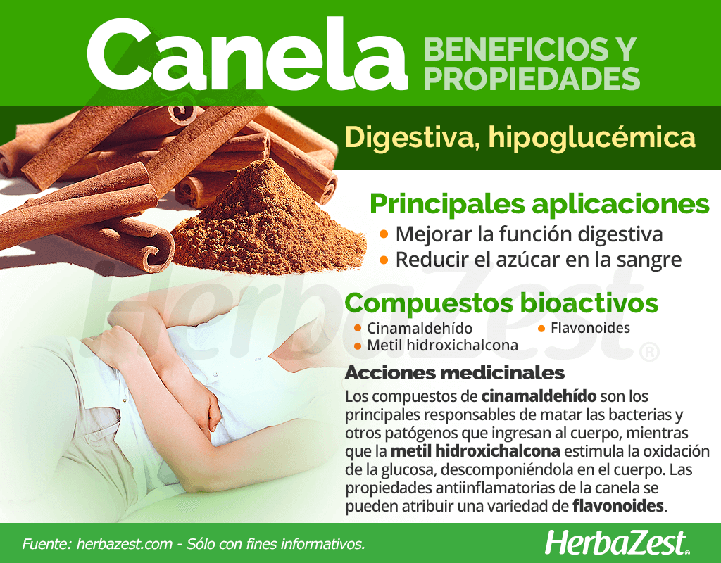 Beneficios y propiedades de la canela