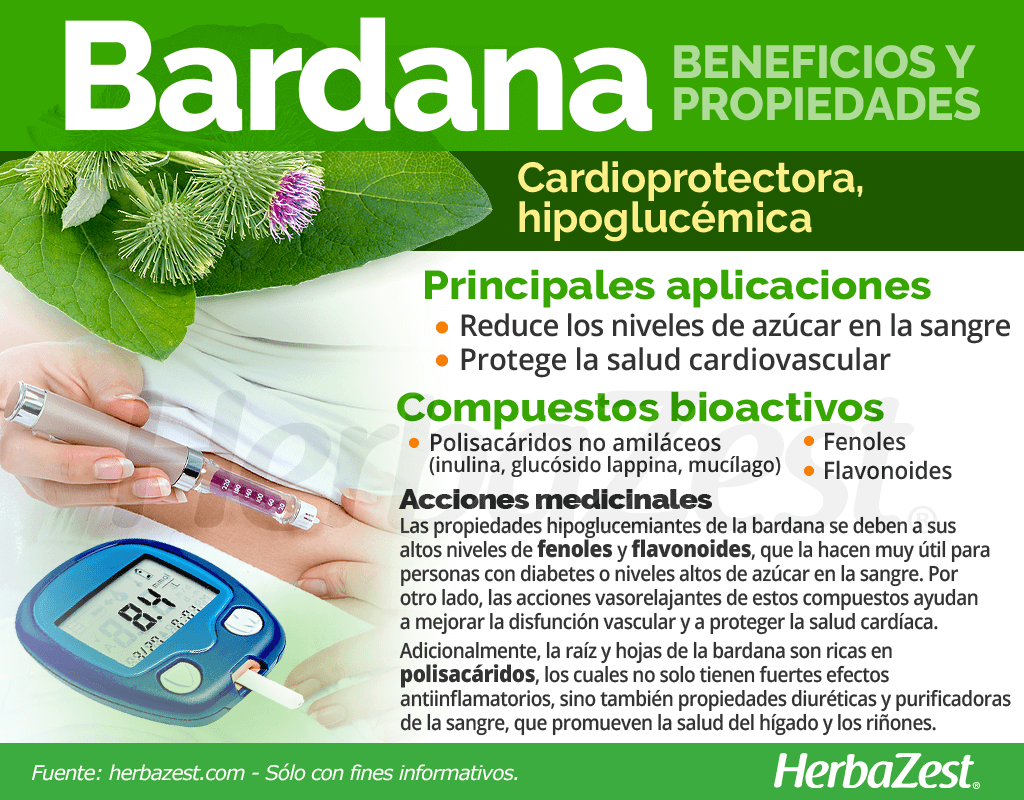 Beneficios y propiedades de la bardana