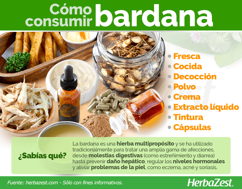 Cómo consumir bardana