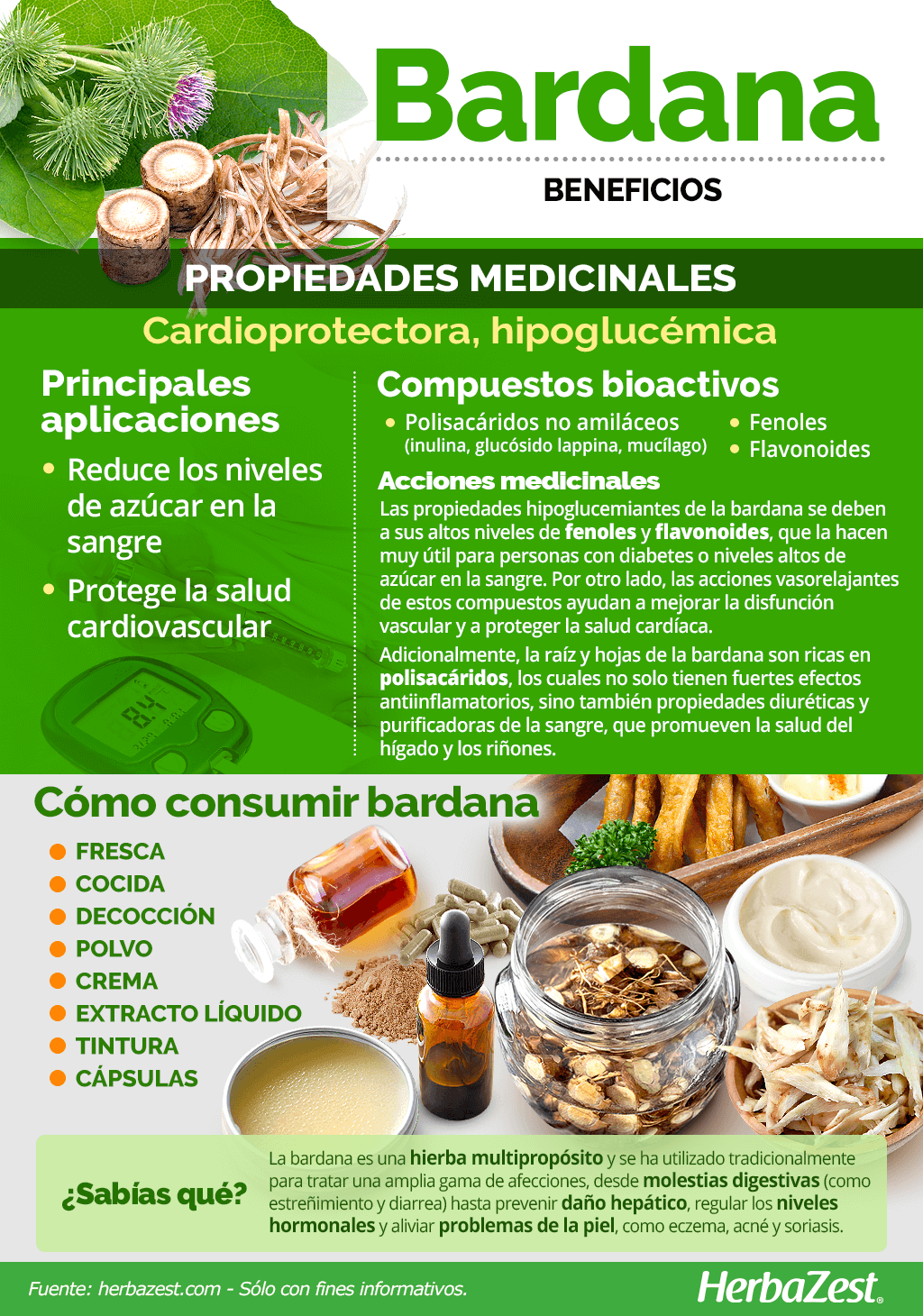 Beneficios de la bardana