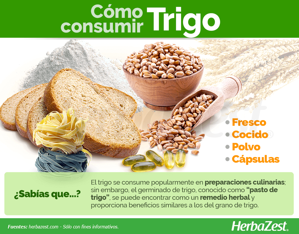 Cómo consumir trigo