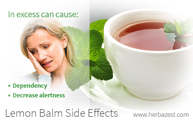 Lemon Balm Side Effects