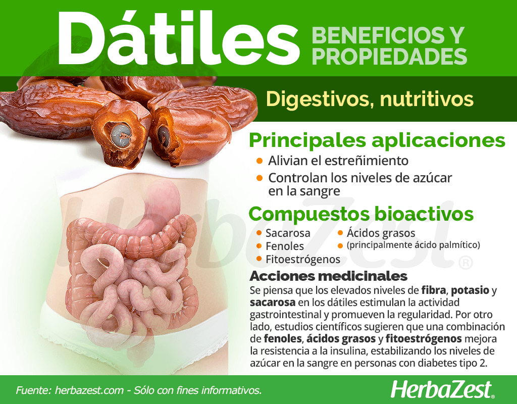 Beneficios y propiedades de los dátiles