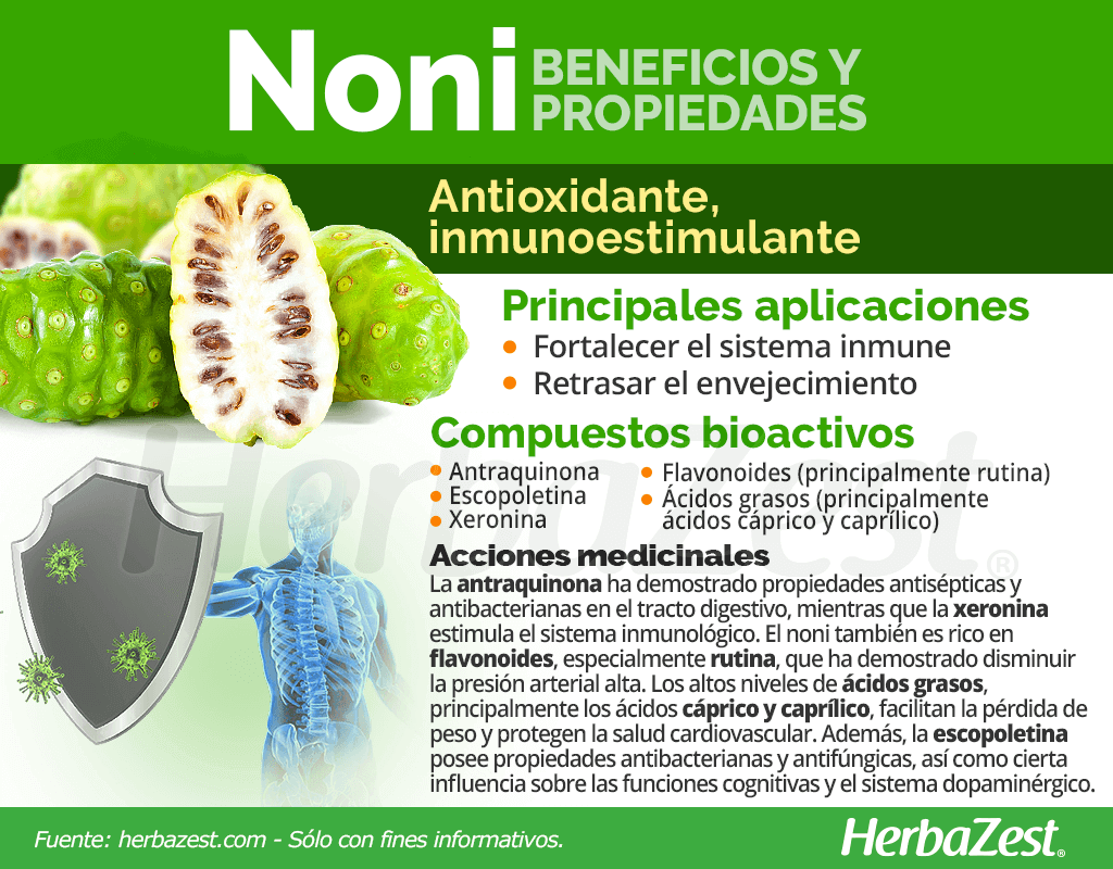 Beneficios y propiedades del noni