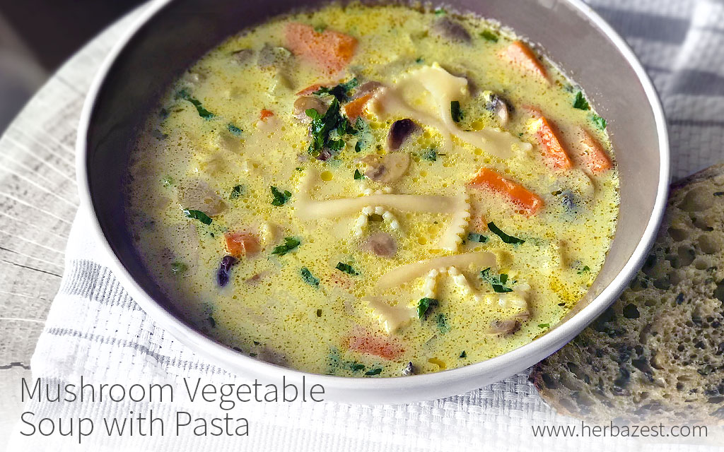 Mushroom Vegetable Soup with Pasta
