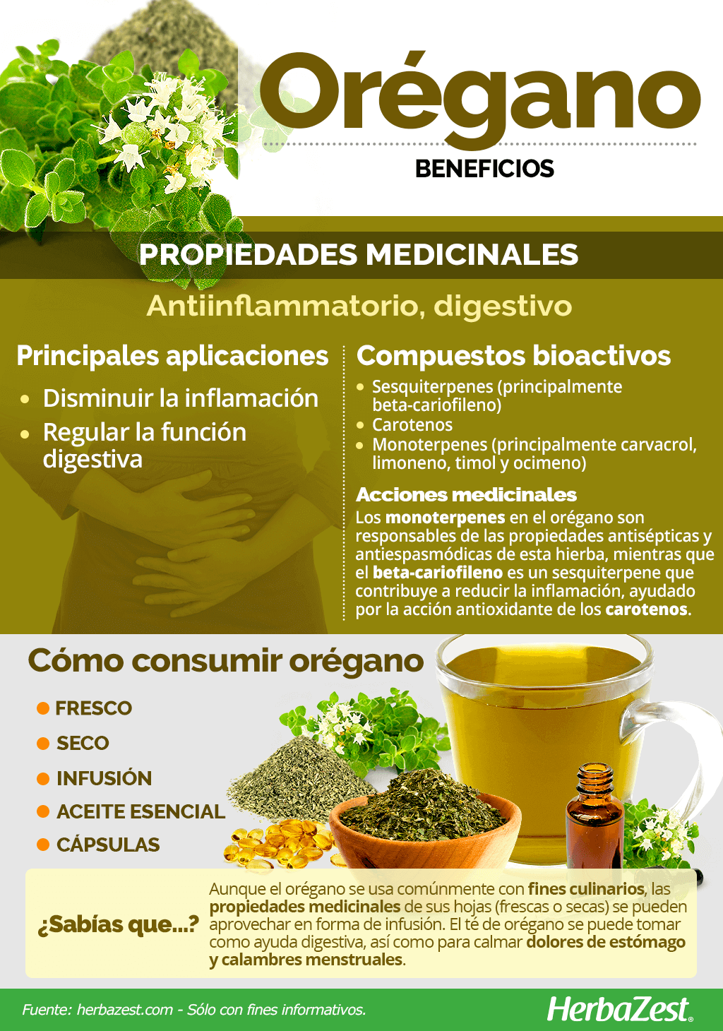 Or gano Propiedades Y Beneficios Para Qu Sirve QIZR Or gano Propiedades Y Beneficios Para Qu Sirve QIZR