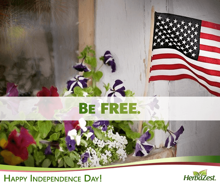 Special Date: USA Independence Day 2015