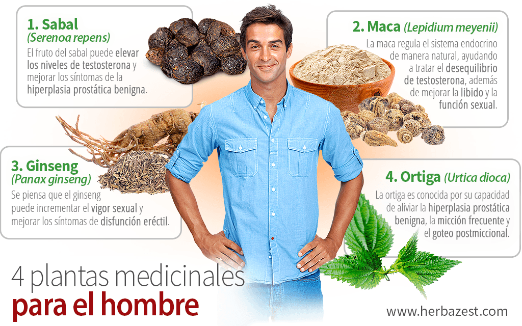 4 plantas medicinales para el hombre