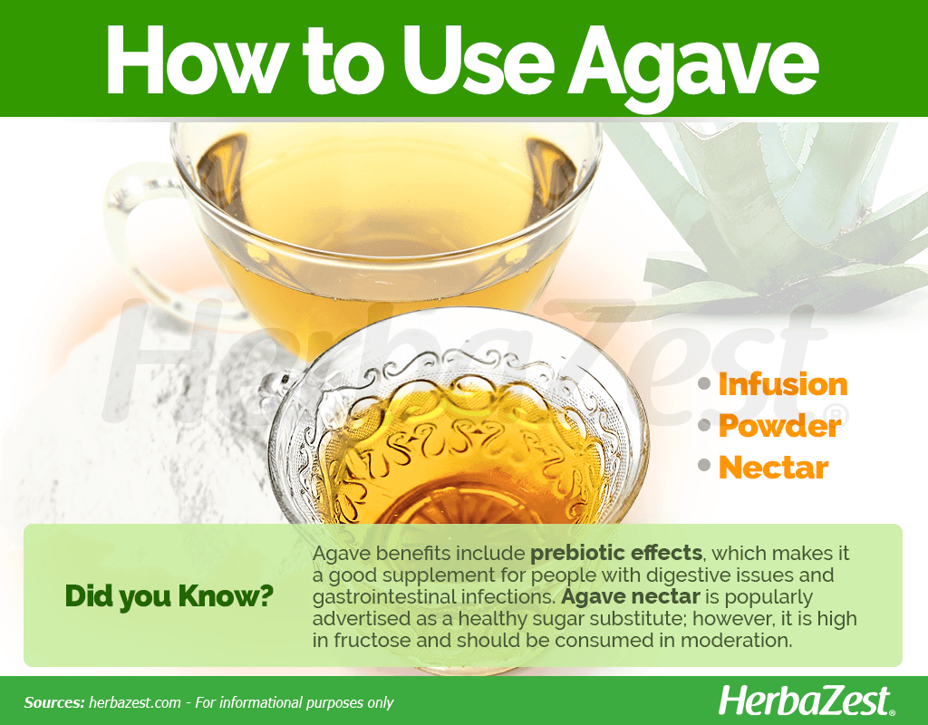 How to Use Agave