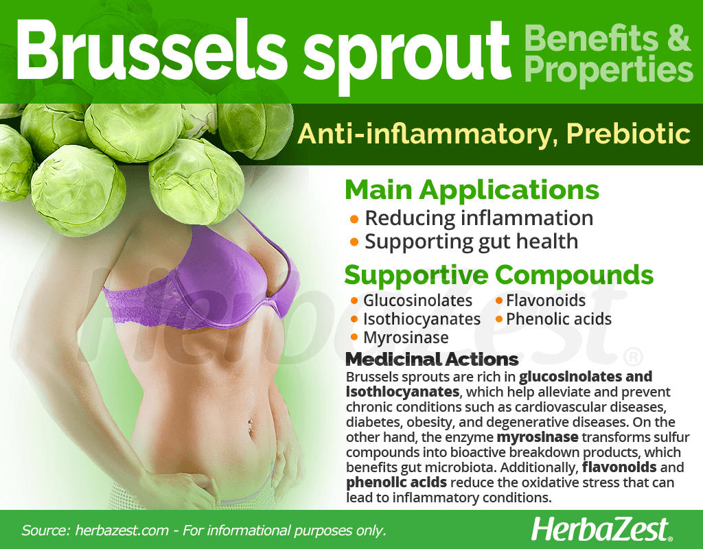 Brussels Sprout Benefits and Properties