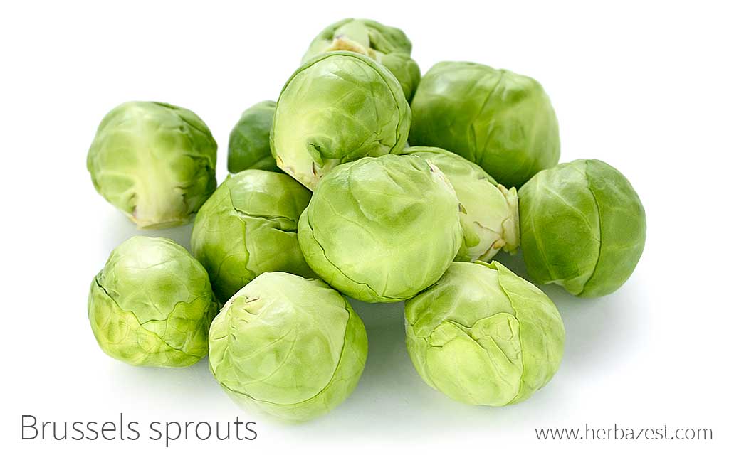 Brussels Sprout