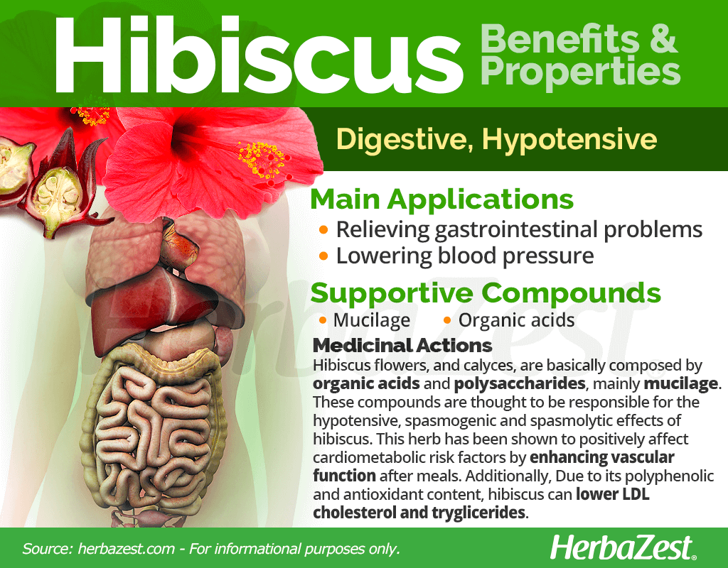 Hibiscus Benefits and Properties