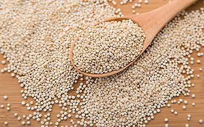 Quinoa Peptides Help Nourish the Gut, Study Finds