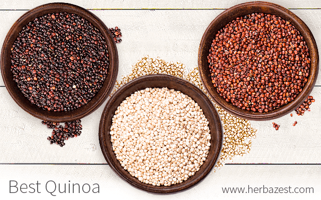 Best Quinoa