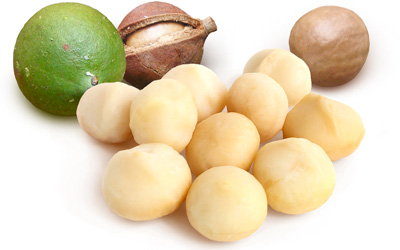 Nuez de macadamia