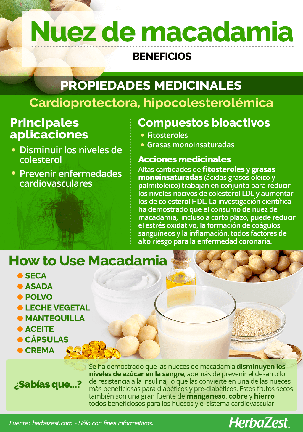 Beneficios de la nuez de macadamia