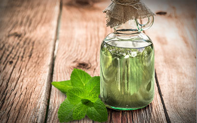 Lemon Balm Tincture