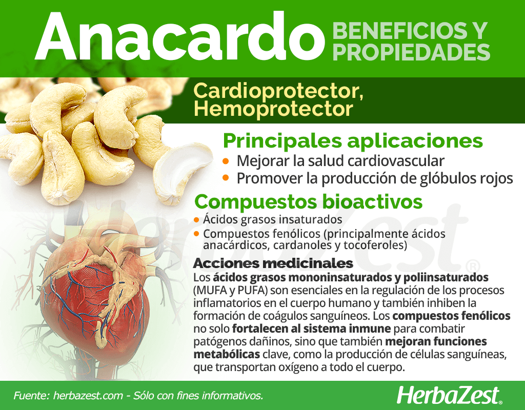 Beneficios y propiedades de los anacardos